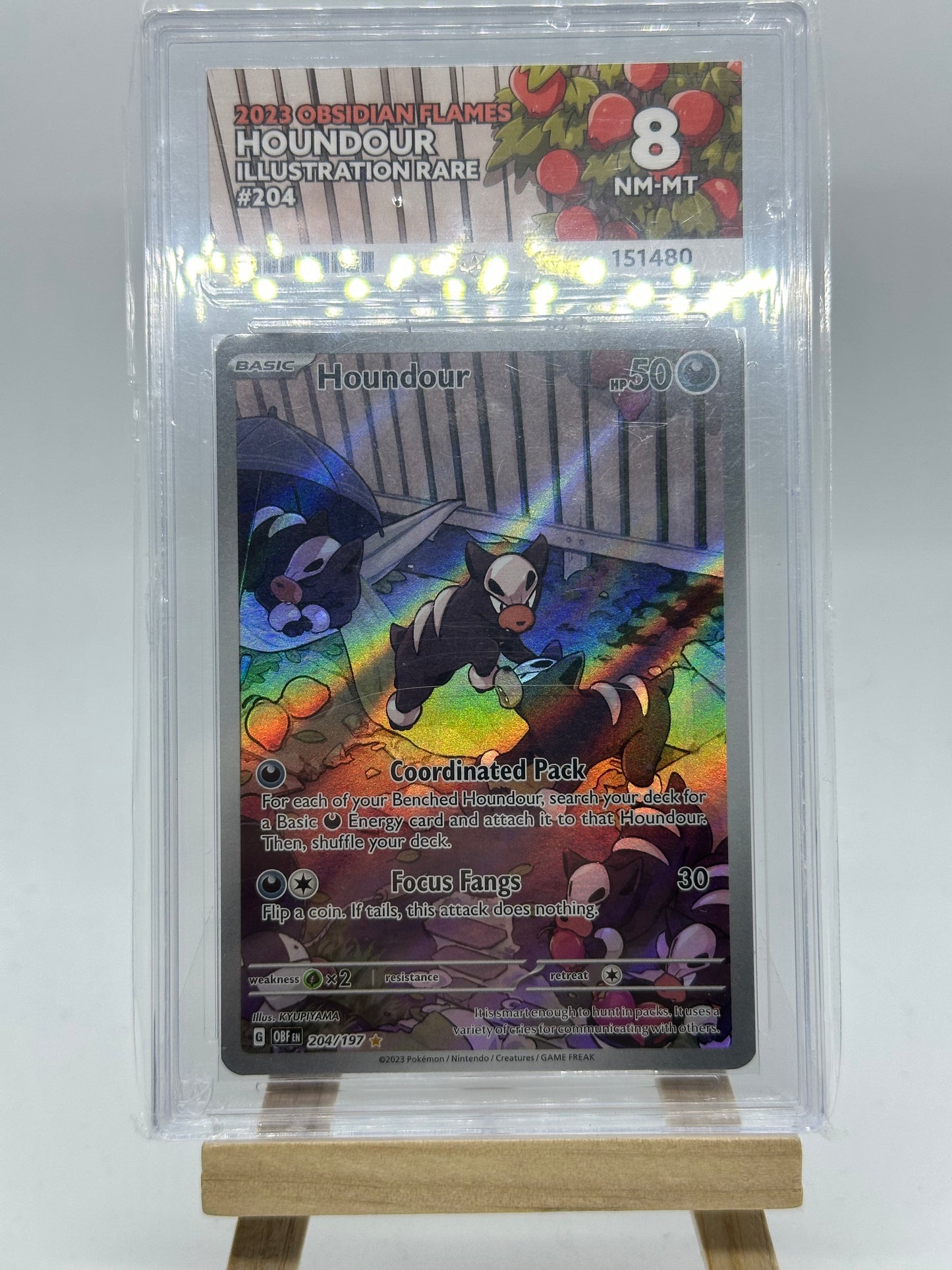 Houndour 204/197 - Obsidian Flames- Ace Grading 8