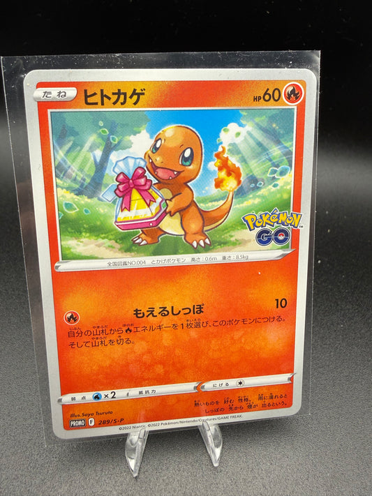 Charmander
Sword & Shield Promos • 289/S-P